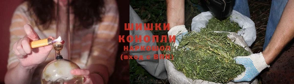 стафф Гусиноозёрск