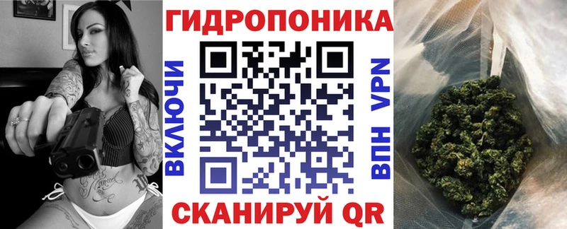 Шишки марихуана марихуана  Купить закладки  Пущино 